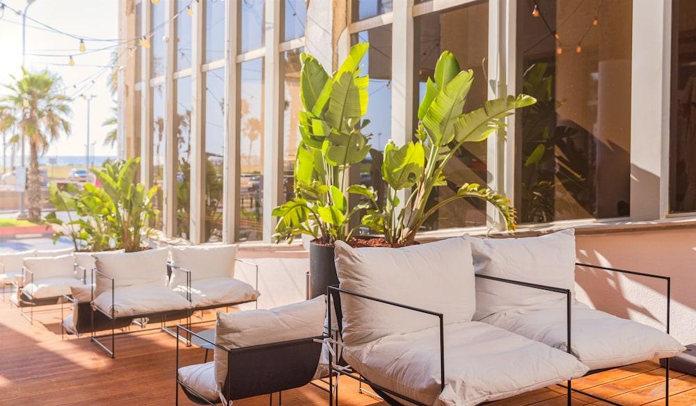 Brown Brut Hotel