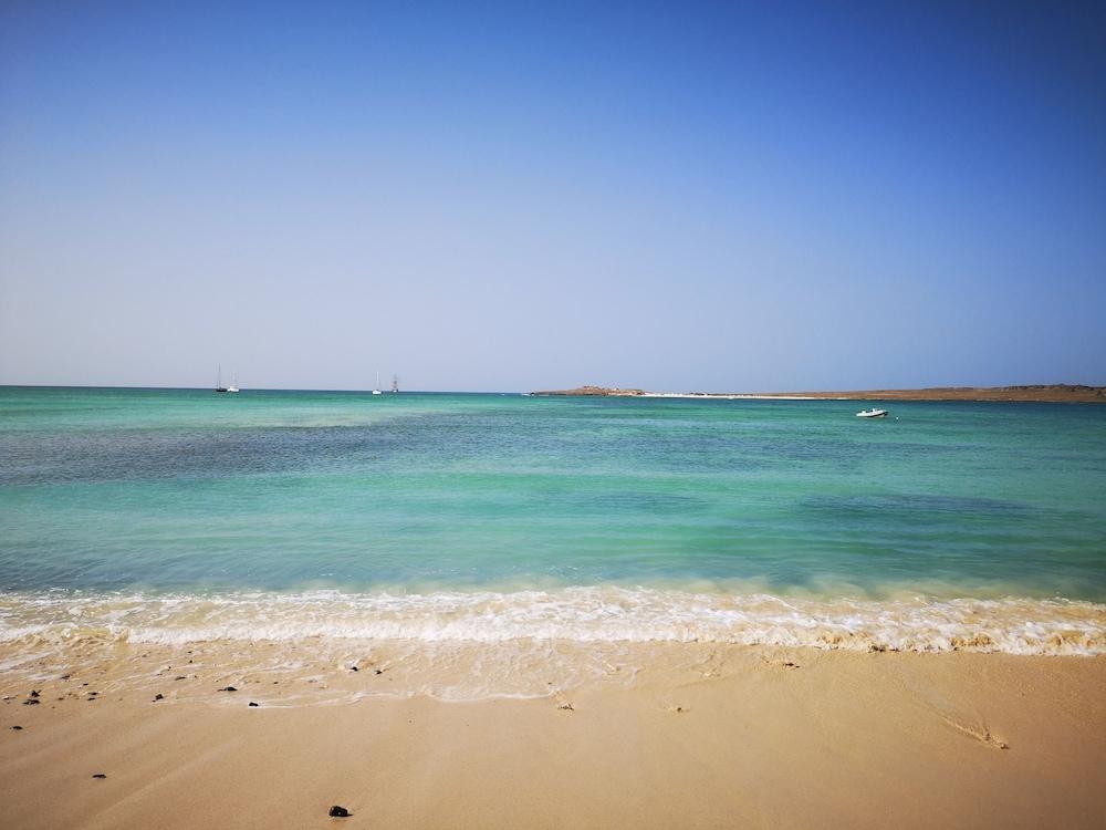 Oasis White 