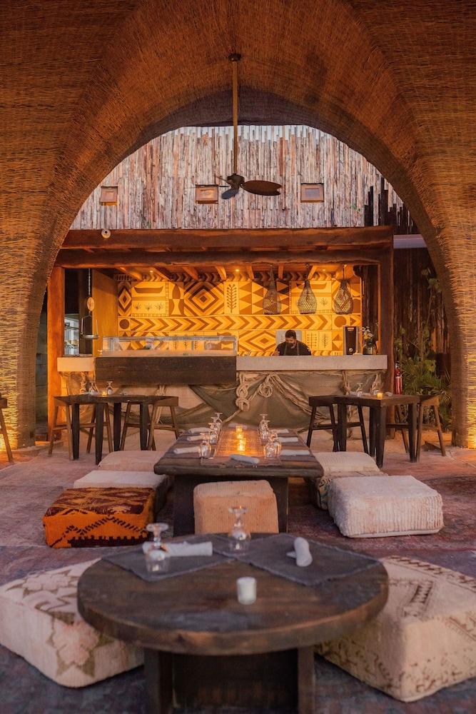 Nomade Holbox