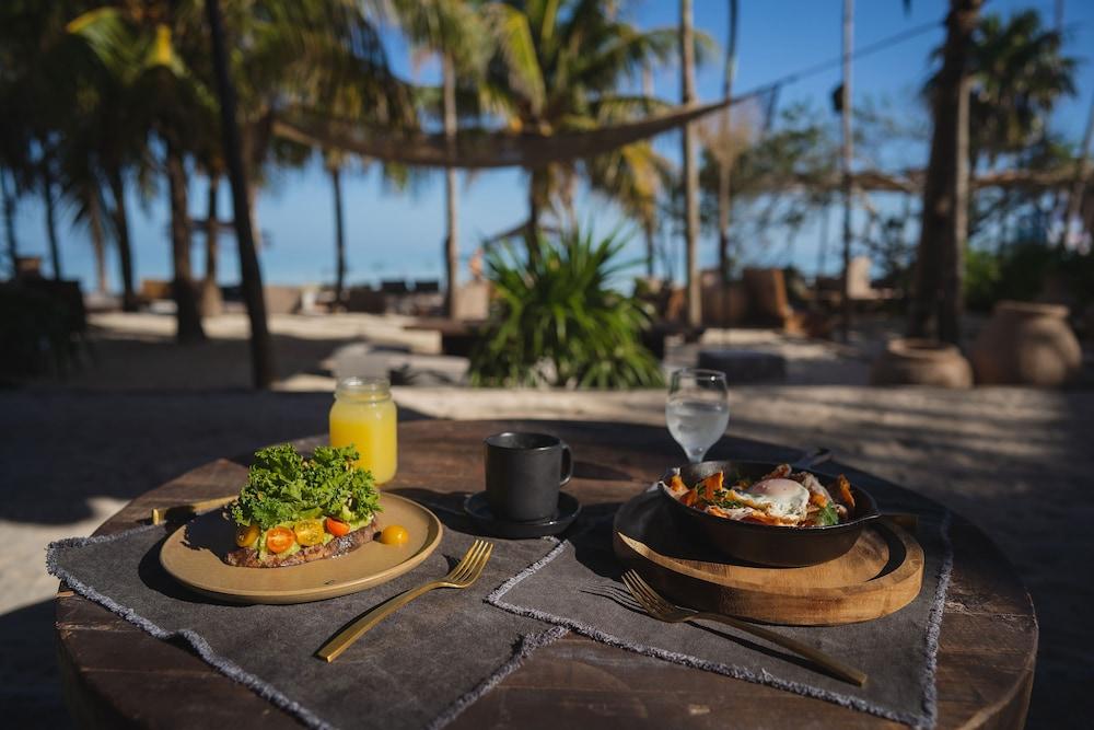 Nomade Holbox