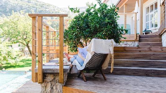 Cooking and Nature The Nest