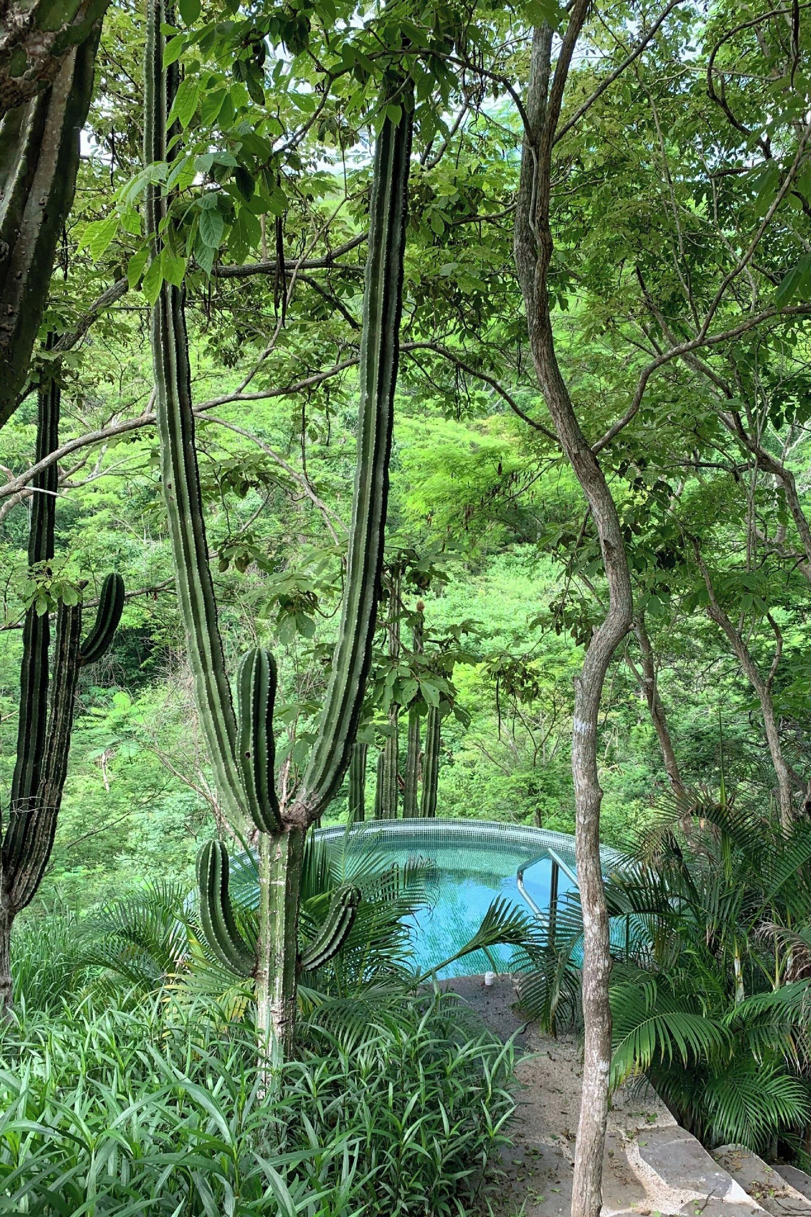Delta Hotels Riviera Nayarit, An All-Inclusive Resort