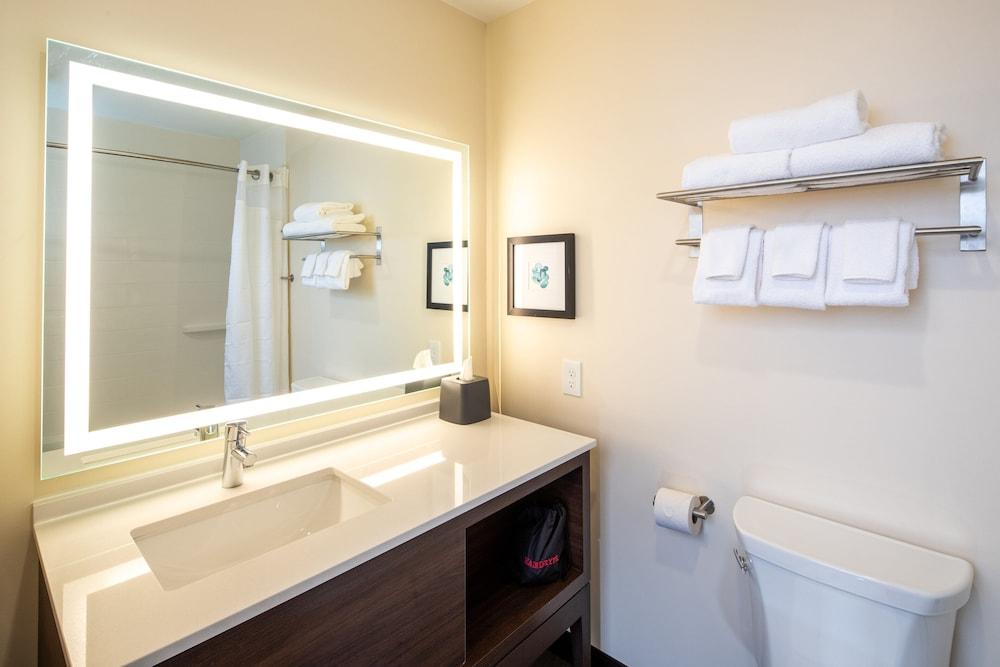Holiday Inn & Suites Detroit - Troy