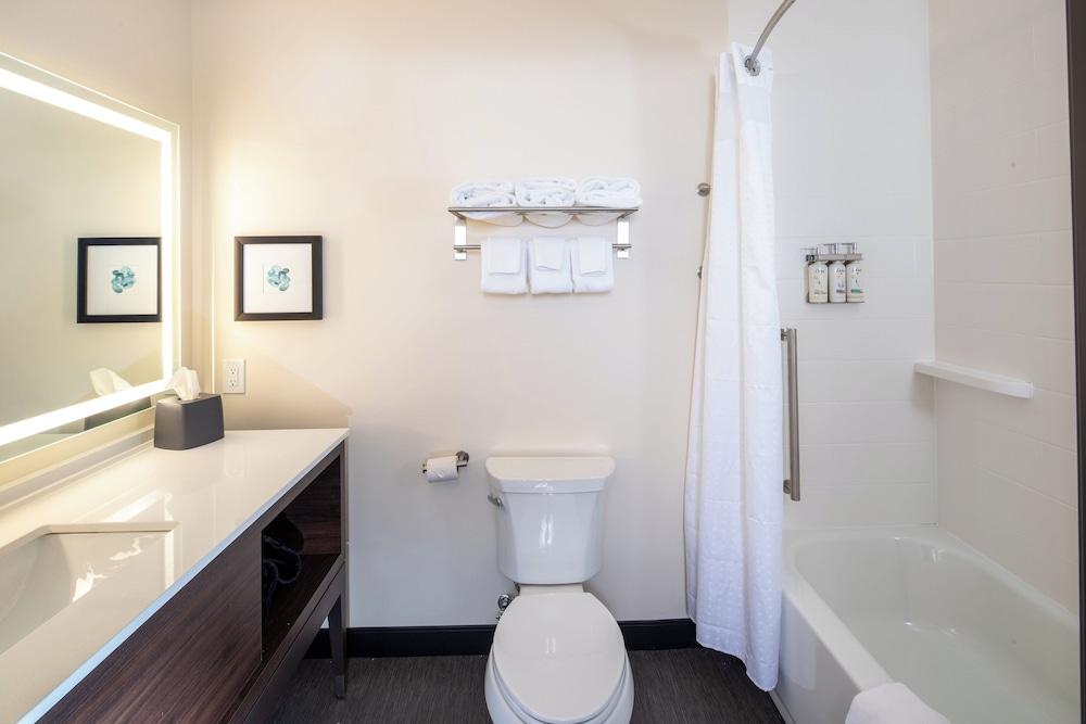 Holiday Inn & Suites Detroit - Troy