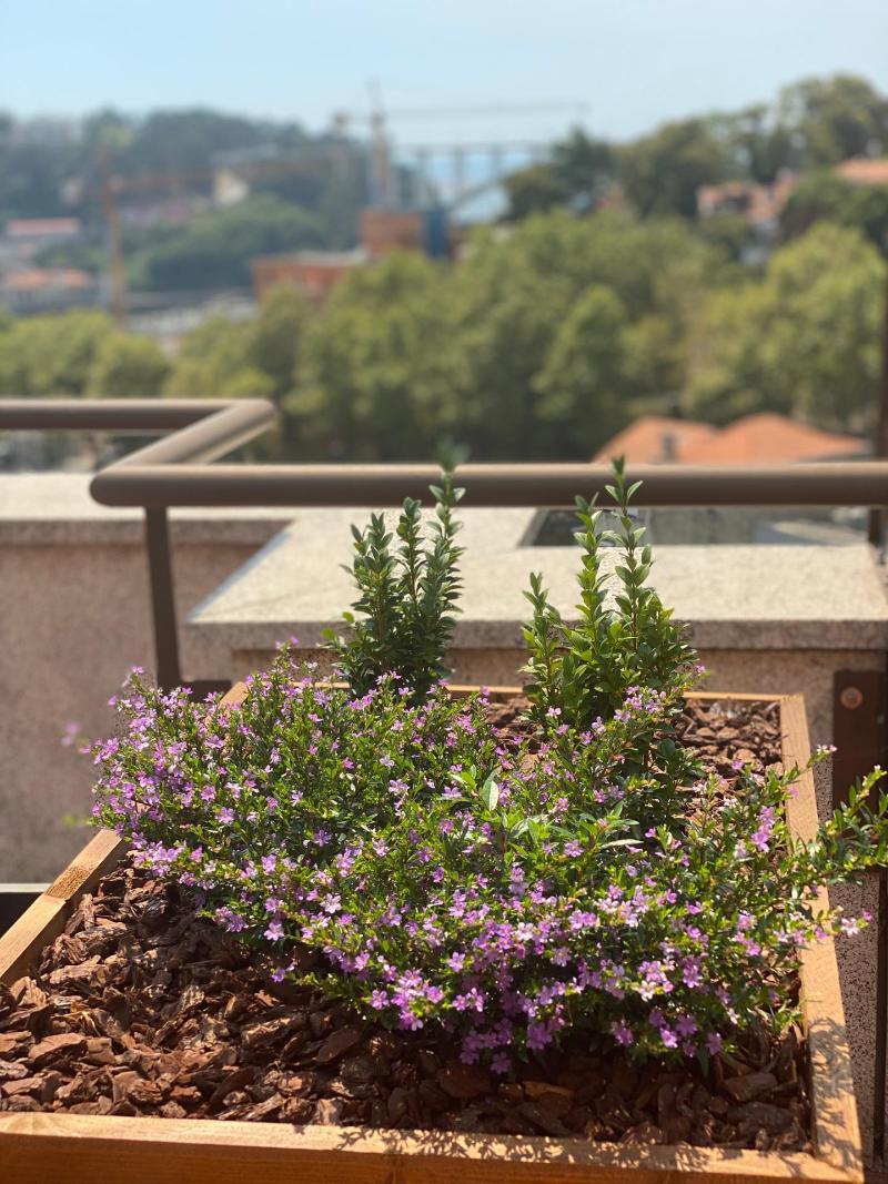 Vilar Oporto Hotel