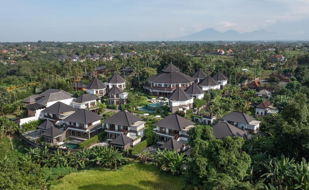 Swan Paradise A Pramana Experience
