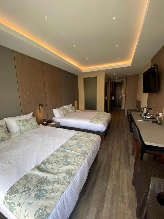 Hotel Catena