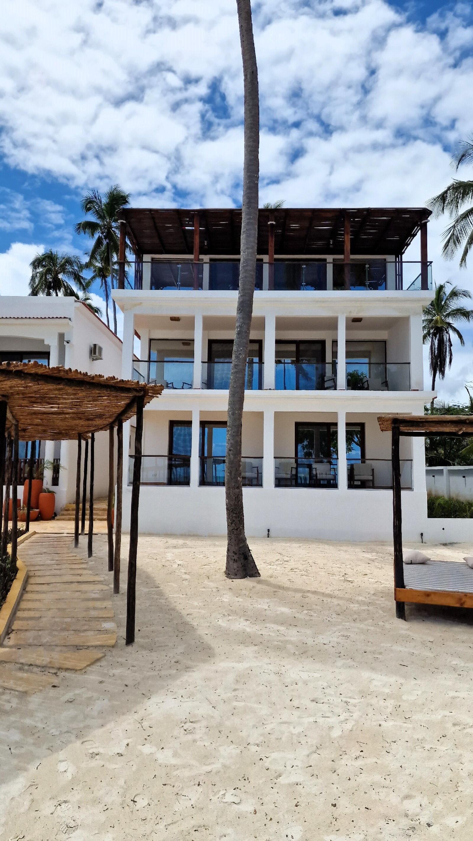 Dream of Zanzibar