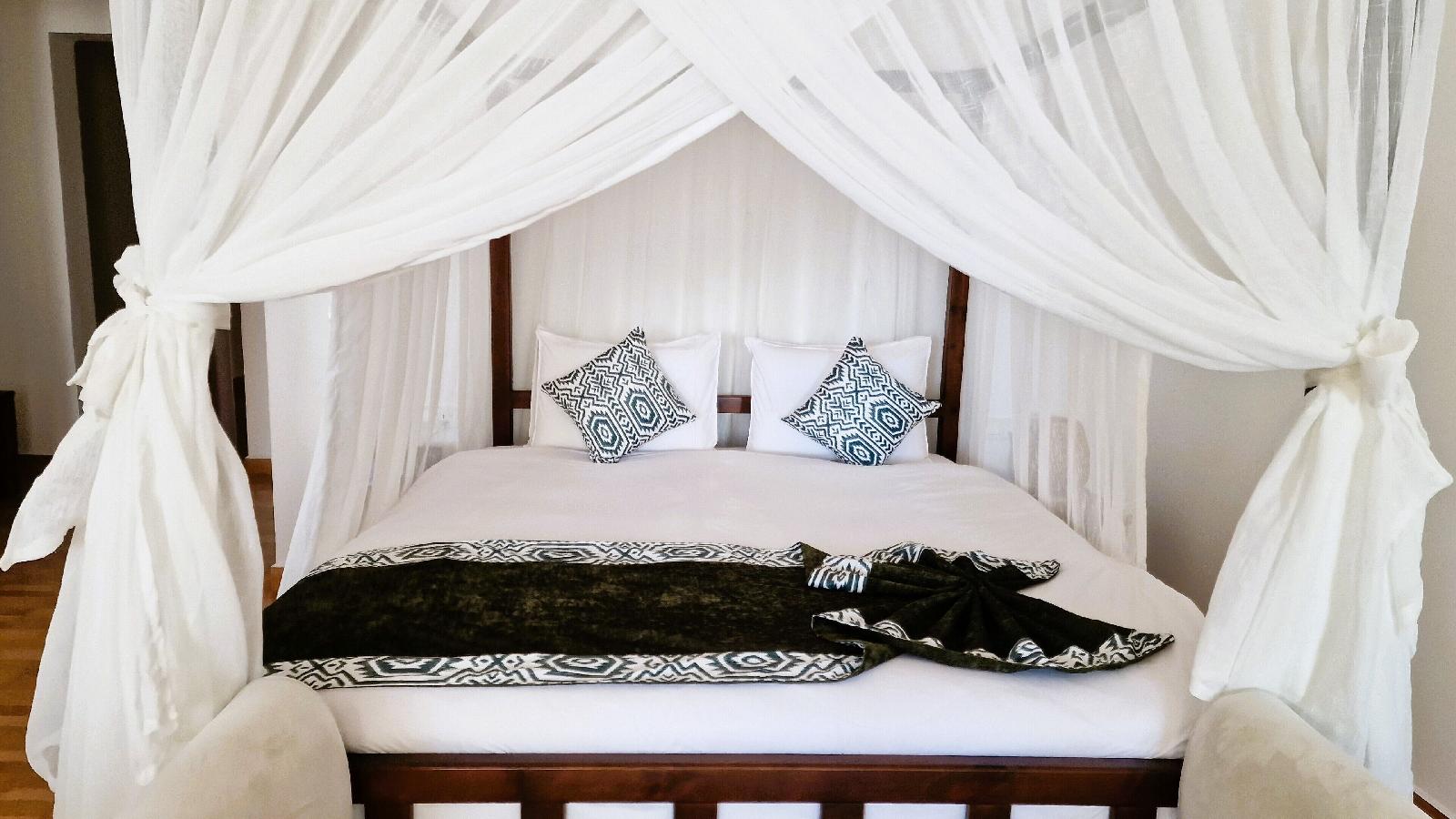 Dream of Zanzibar