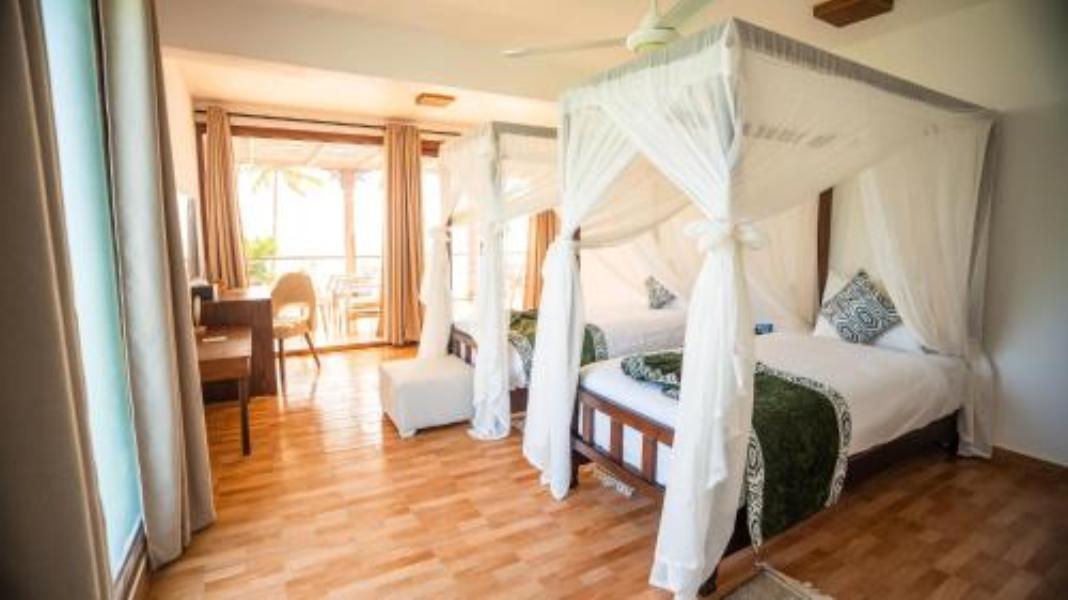 Dream of Zanzibar