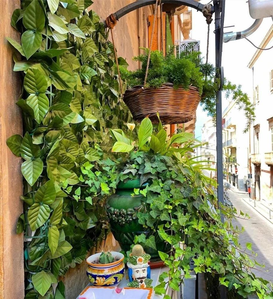 Minihomecatania