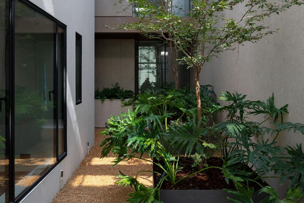 Casa Polanco