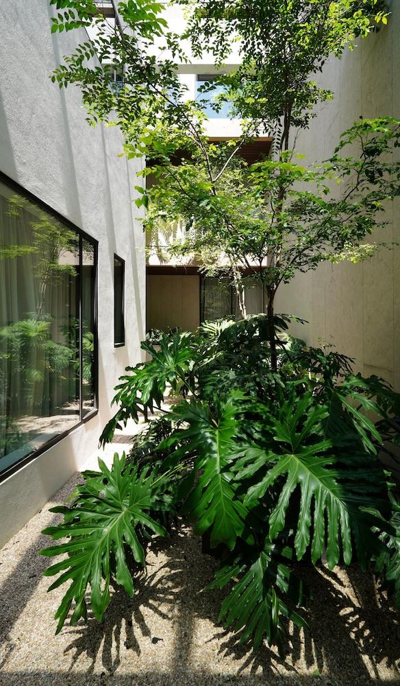 Casa Polanco