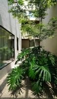 Casa Polanco