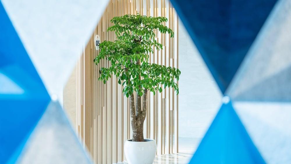 Holiday Inn Express Yangjiang City Center