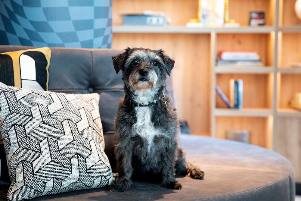 Moxy The Hague