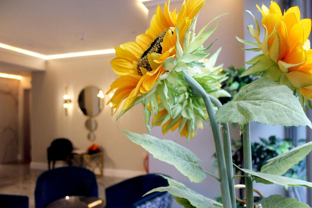 NOX HOTELS - Waterloo