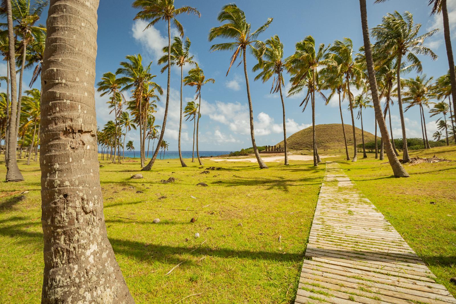 Hotel Ohana Rapa Nui