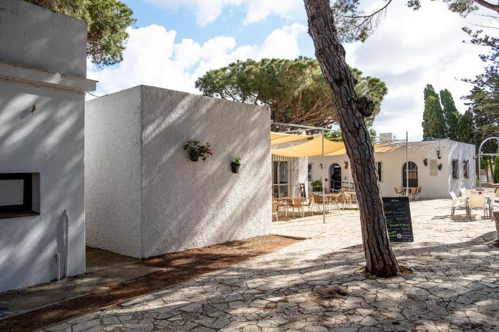 Camping Conil