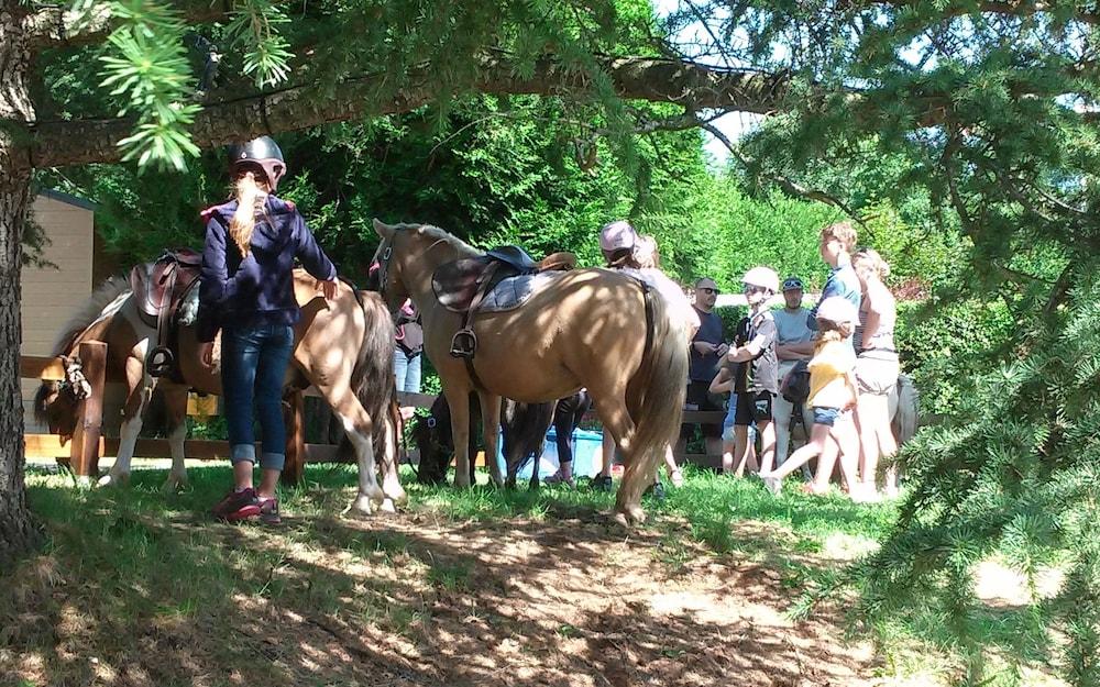 Camping Bois De Graviere