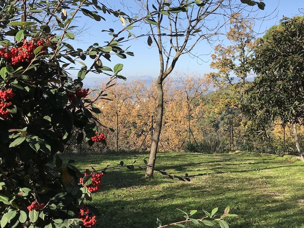 Camping Le Ranch