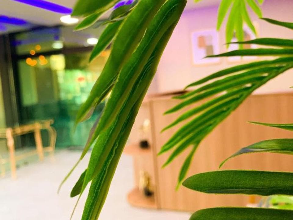Atlantico Sul Hotel