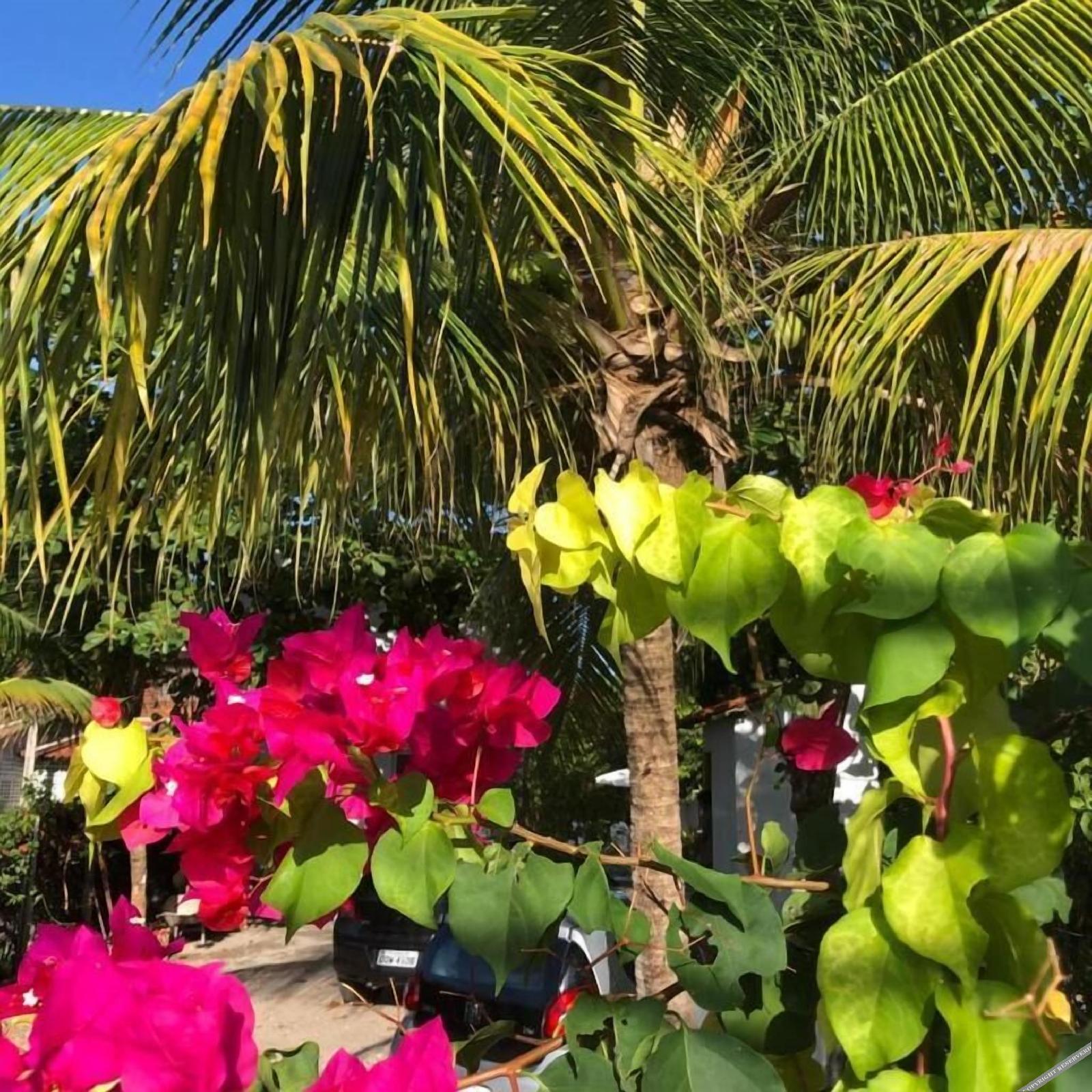 Pousada Beach Garden