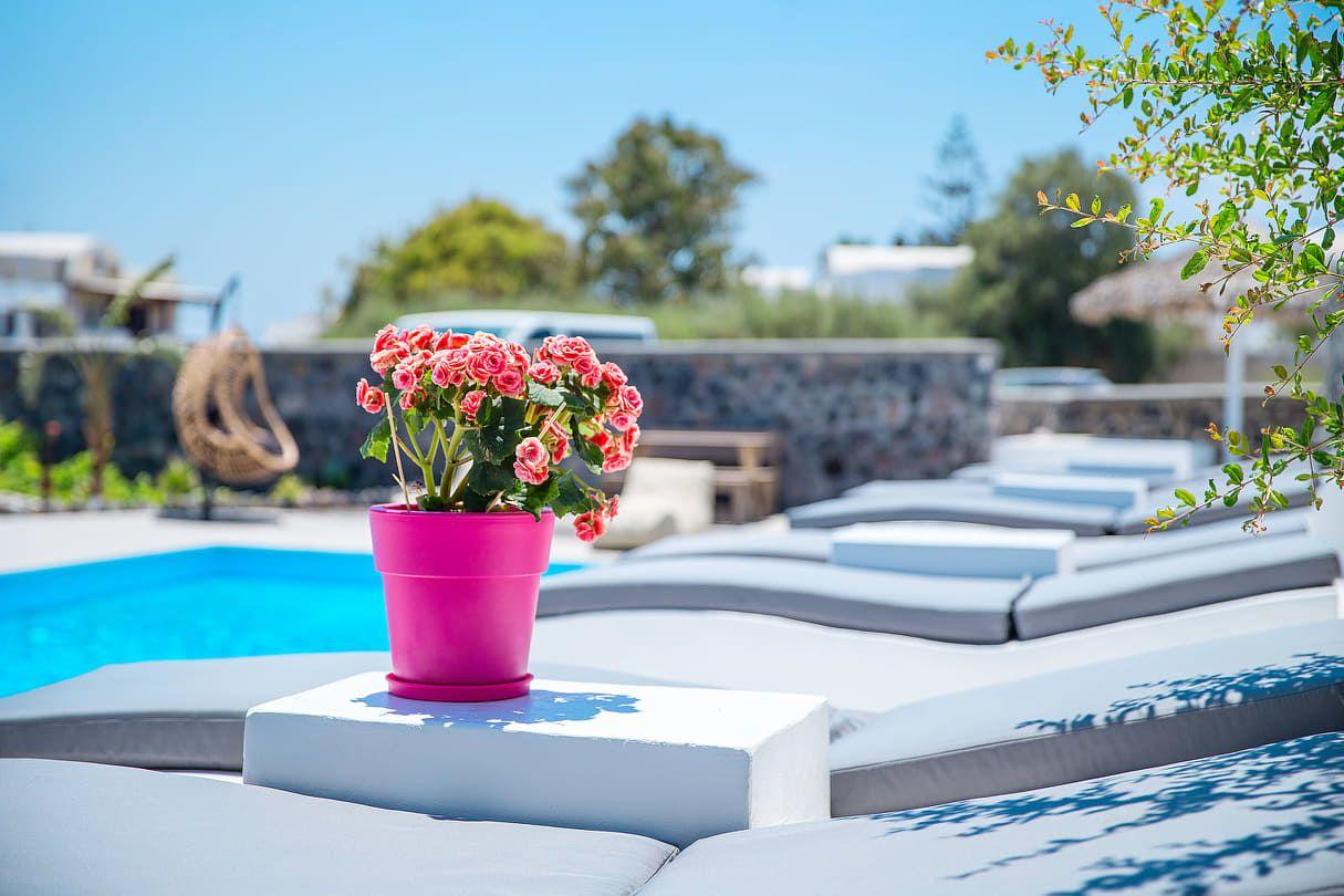Golden Sunrise Suites