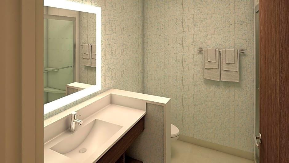 Holiday Inn Express & Suites Grand Rapids South - Wyoming