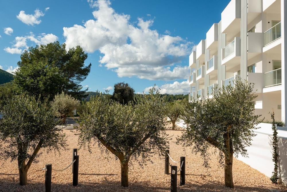 The Olive Boutique Suites and Spa
