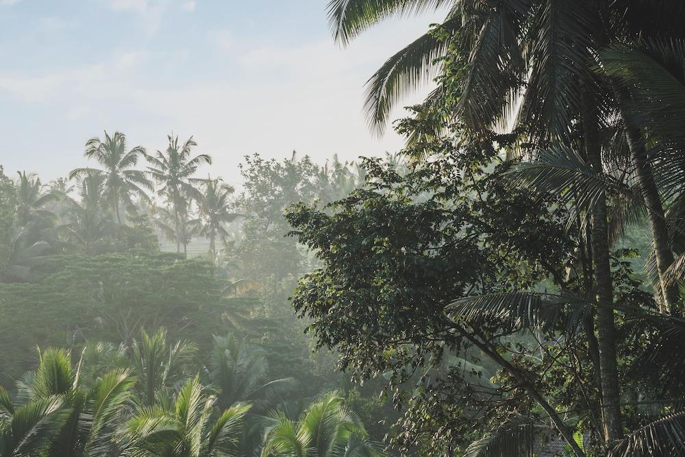 Abisena Wellness & Resort Ubud-Adult Only