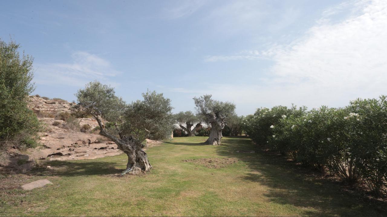 Rocce Antiche Resort