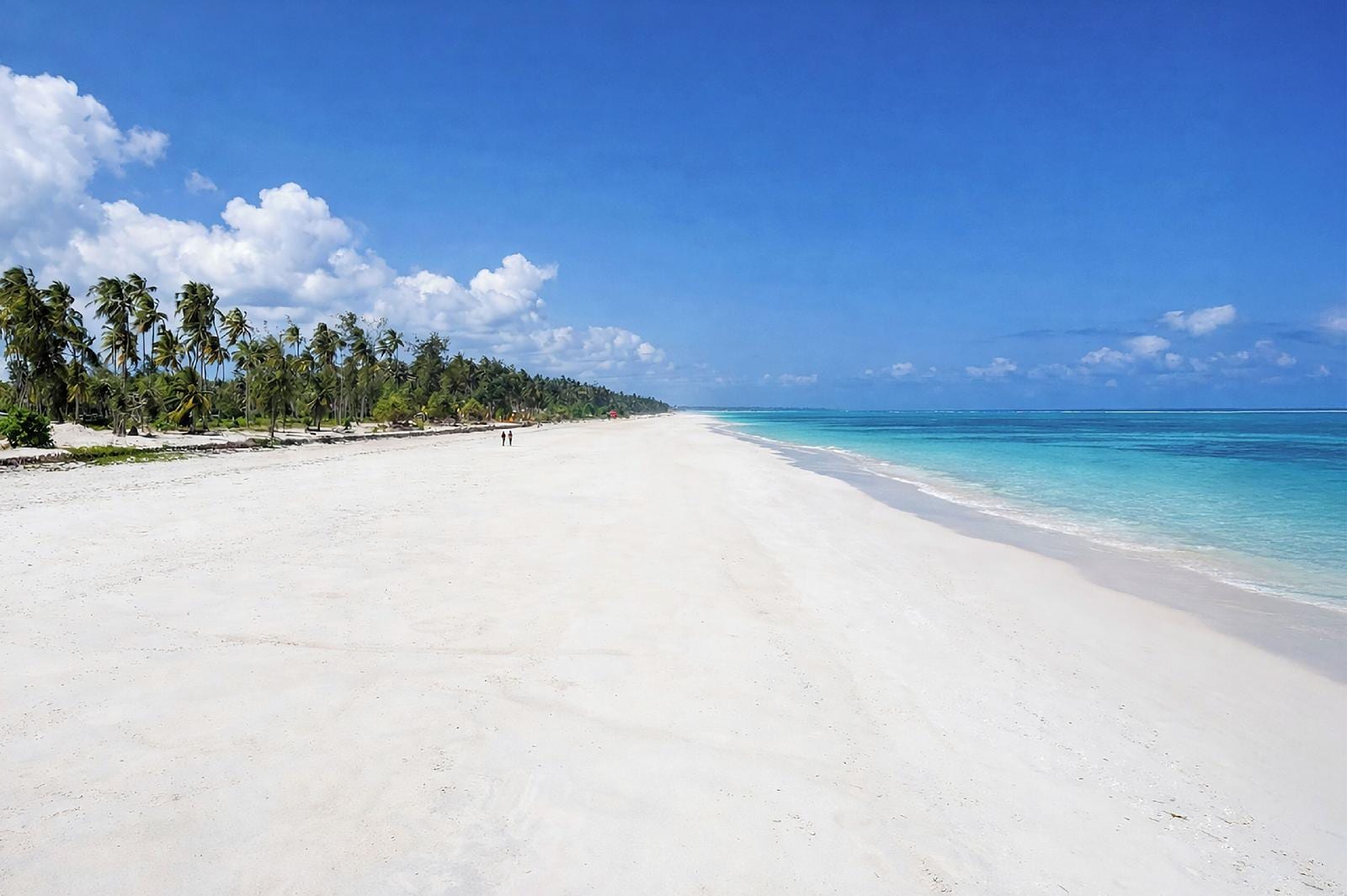Kappa Senses Zanzibar