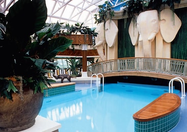 Imagen de Radiance of the Seas