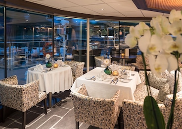 Imagen de Amadeus Diamond