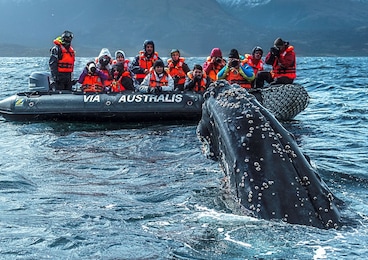 Imagen de Ventus Australis