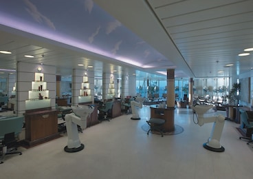 Imagen de Vision of the Seas