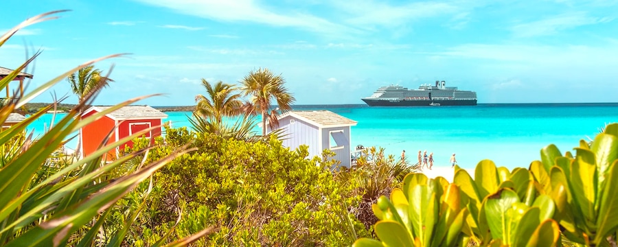 Cruceros por islas privadas