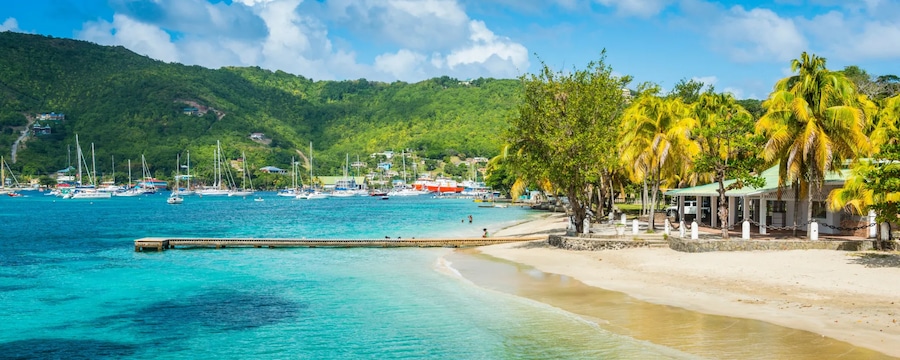 Cruceros por Elizabeth Bay