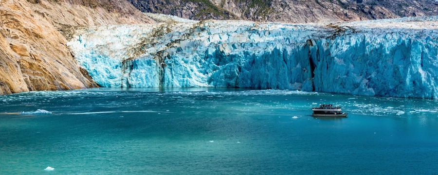 Cruceros por el fiordo Endicott Arm, Alaska