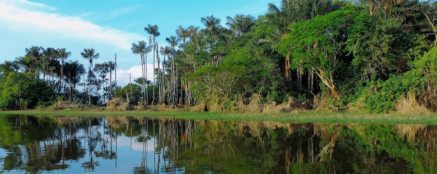 Cruceros por Santarém, Brasil