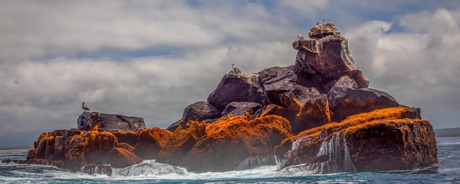 Cruceros por las Islas Galápagos